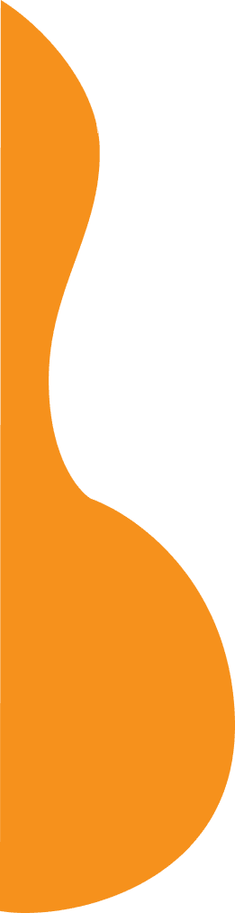 Decorative orange shape